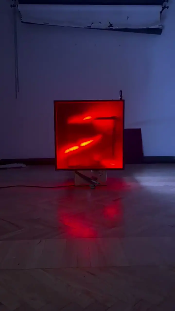 Ein reaktives Lichtmuster über den Streifen